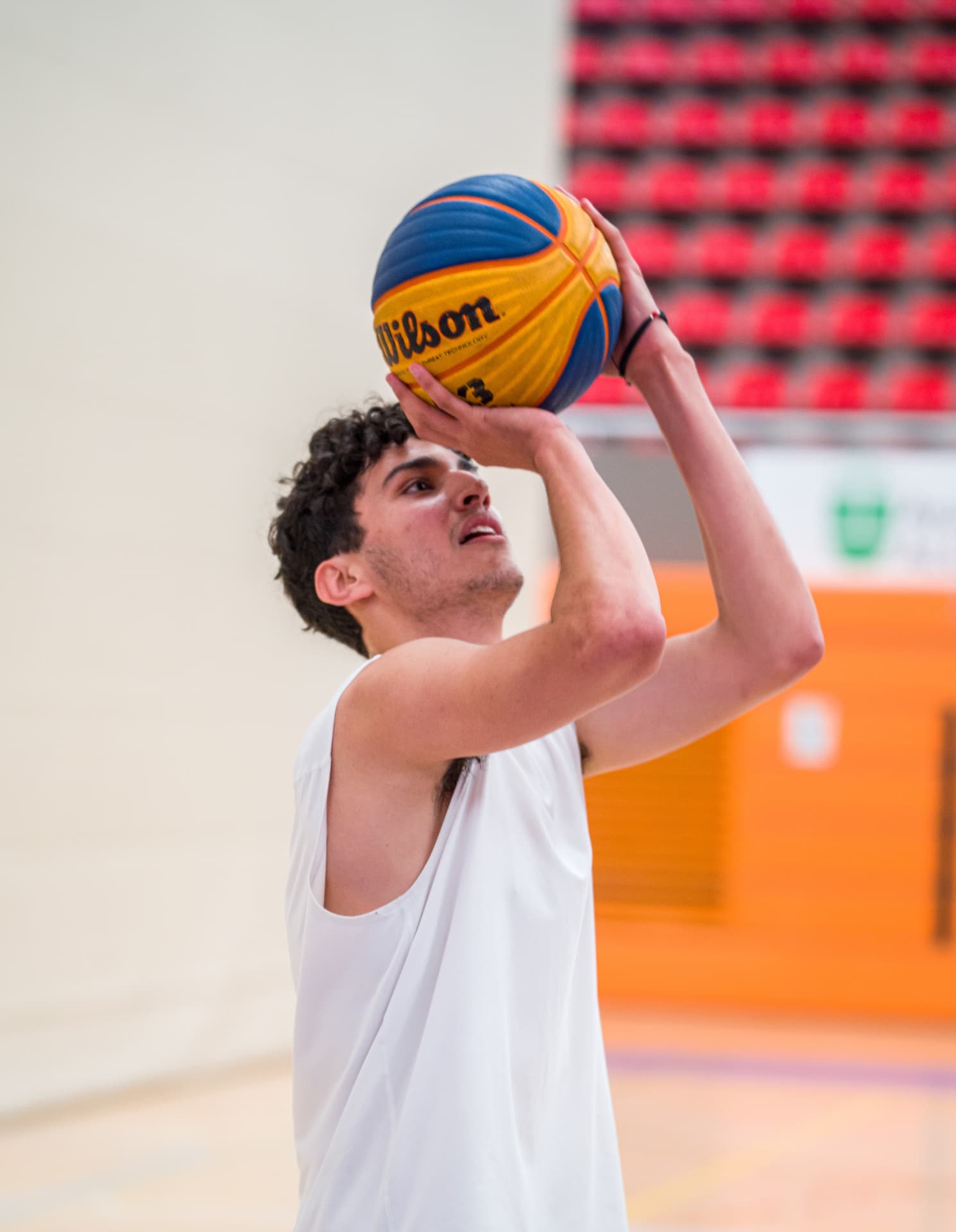 Basketball training environment