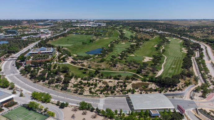 Golf training environment